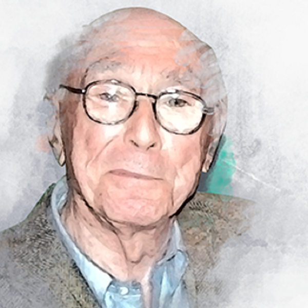 TEORÍA DE BRUNER